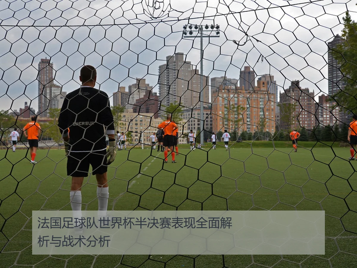 法国足球队世界杯半决赛表现全面解析与战术分析
